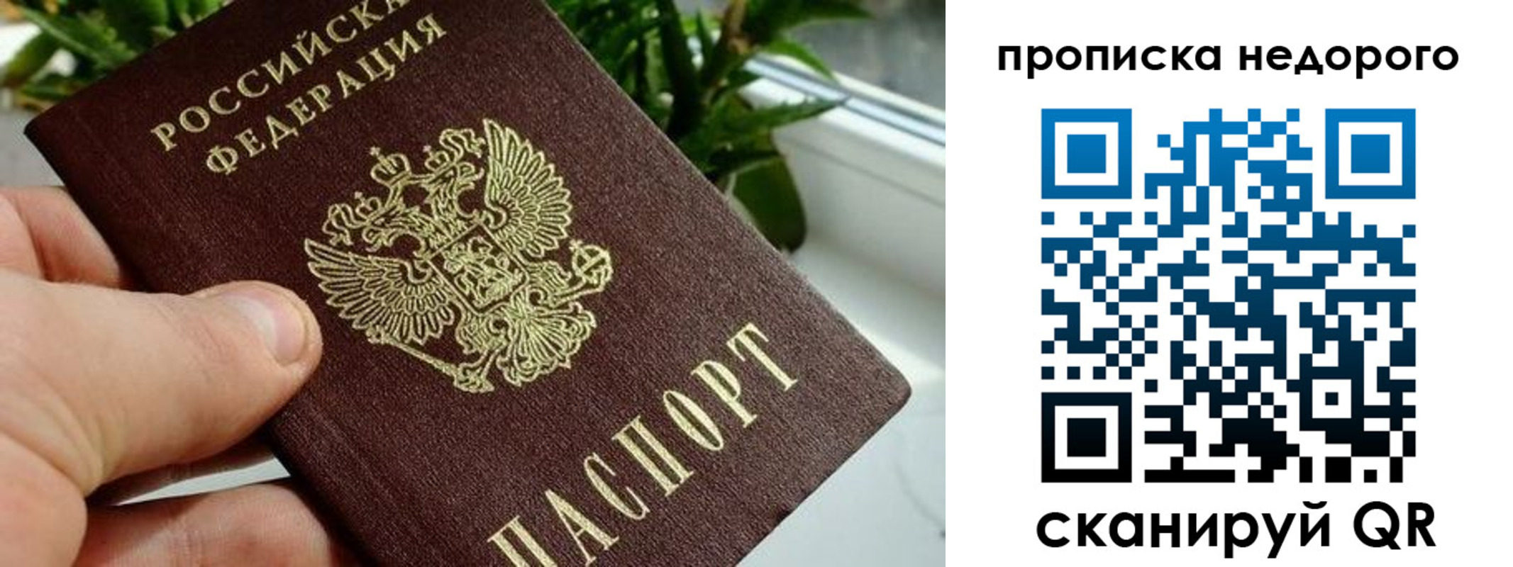 прописка для кредита в Шали